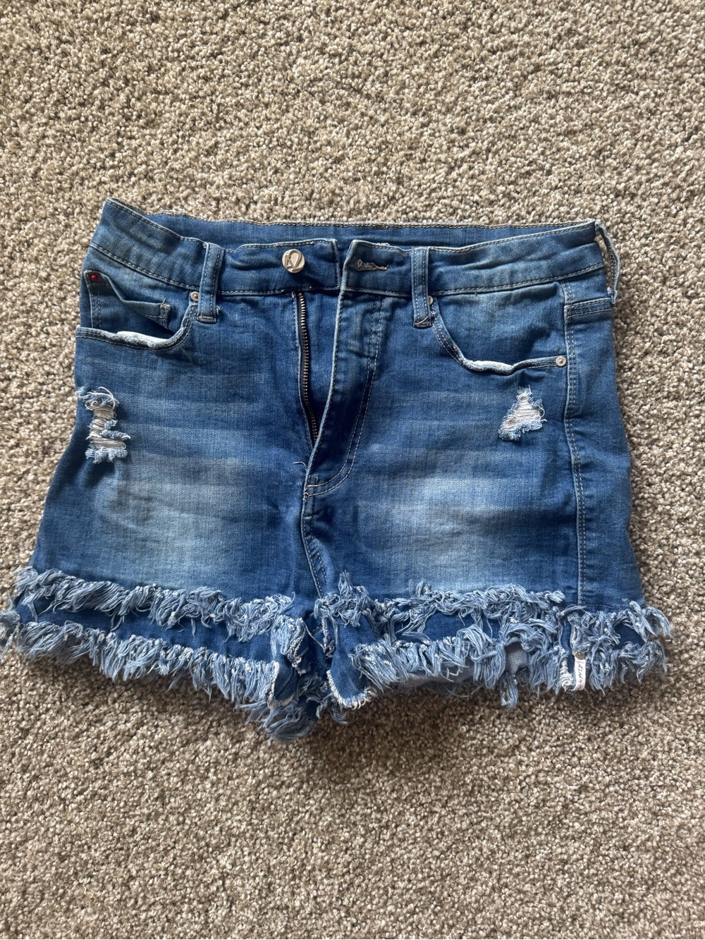 Frayed Hem Blue Denim Shorts - Women